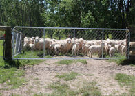 Ocynkowana ogniowo brama ogrodzeniowa o długości 75 x 75 mm do stoczni owiec