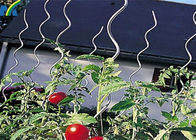 6,5 mm * 1,8 m Łączniki ogrodzeniowe z ogniwami łańcucha Pomidorowy drut podtrzymujący