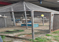 Ochrona eksponatów papug 20MM Siatka druciana ze stali nierdzewnej