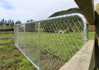 Wytrzymała brama ogrodzeniowa z siatki drucianej do ogrodzenia rancza dla zwierząt