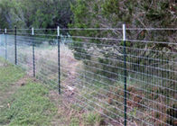 6FT Fence Metal T Post 1.25lb / Ft Okucia ogrodzeniowe z ogniwami łańcucha