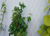 Ogrodowe rośliny kratowe 7x7 1,6 mm Siatka wspinaczkowa z uchwytami